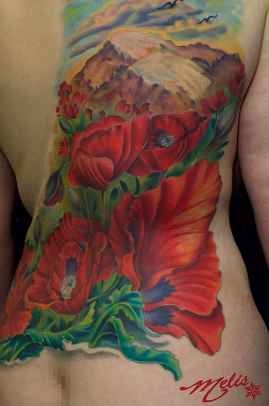 Poppy Mountain scene
