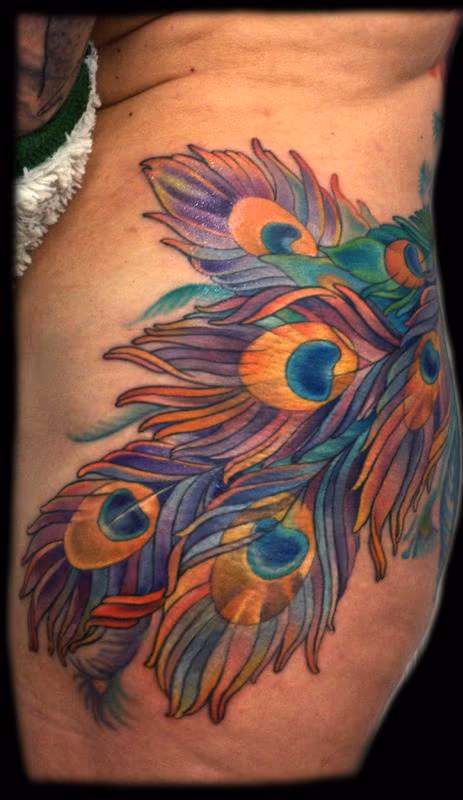 peacock feathers