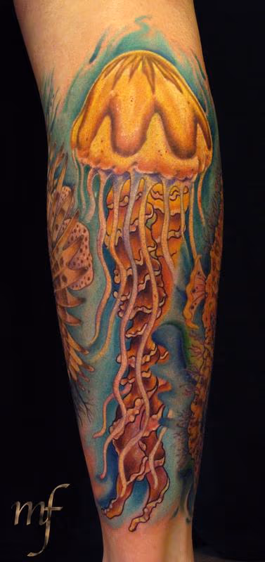 Compass Jellyfish