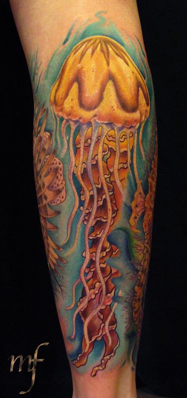 Compass Jellyfish