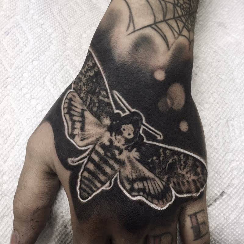Moth on Hand