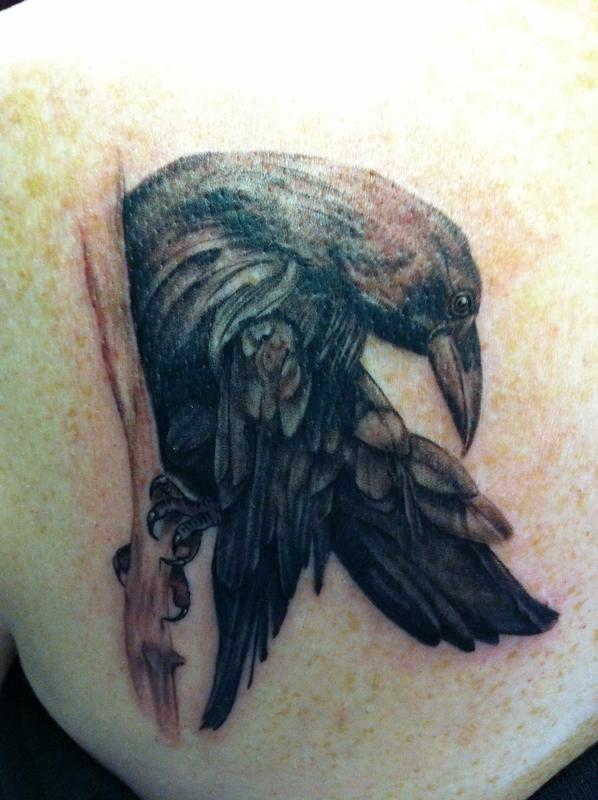 raven
