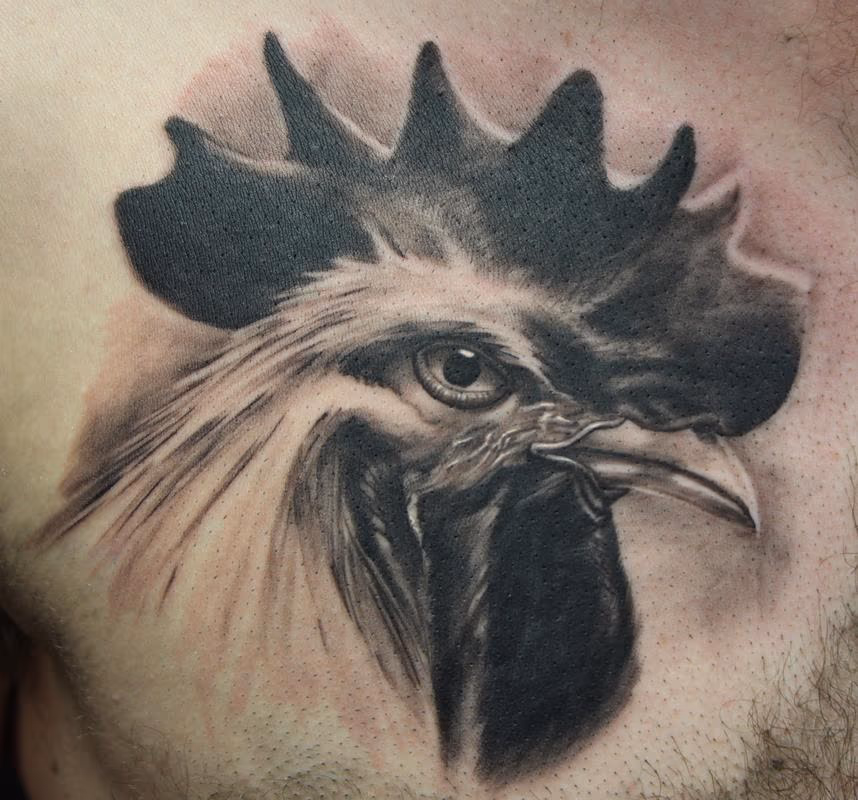 Rooster