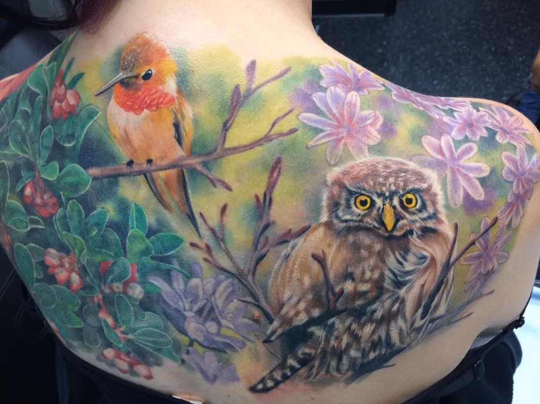Birds