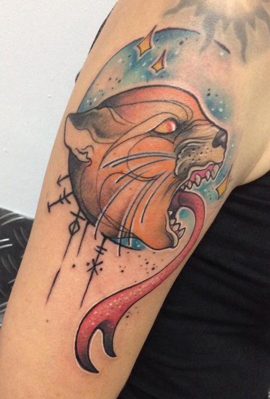 Angry cat