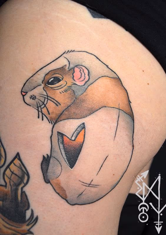 Guinea pig