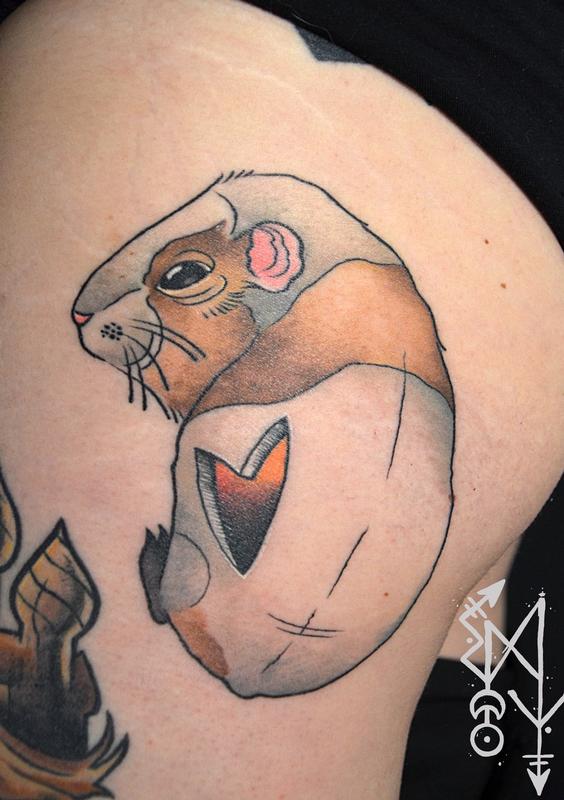 Guinea pig