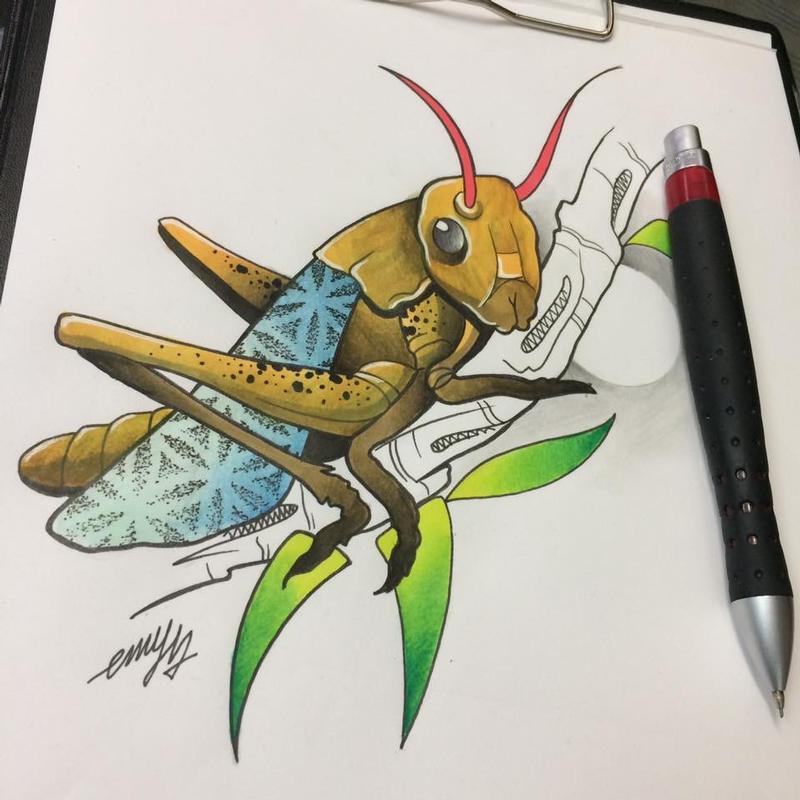 Locust