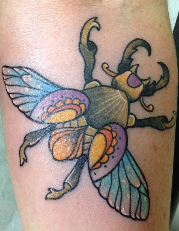 flying beetle