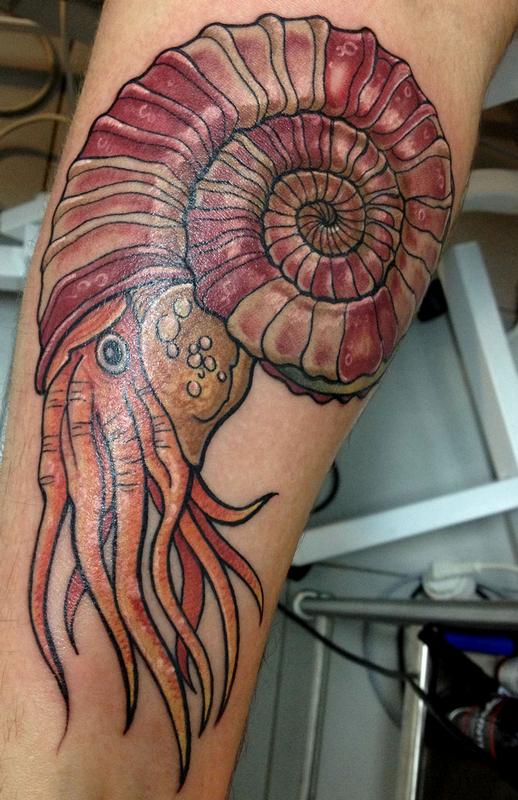 Ammonite