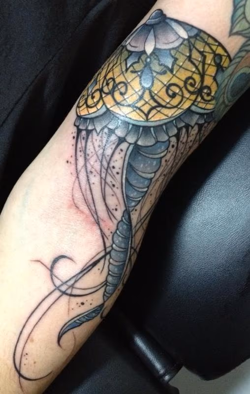 Jellyfish
