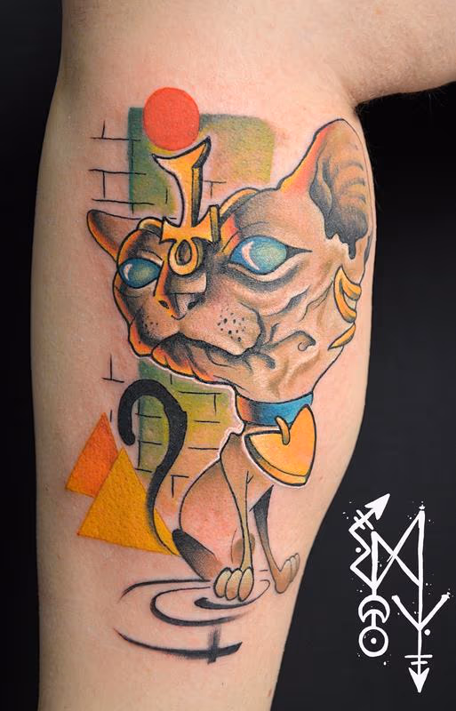 SPHYNX cat