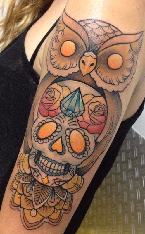 Owl's skull