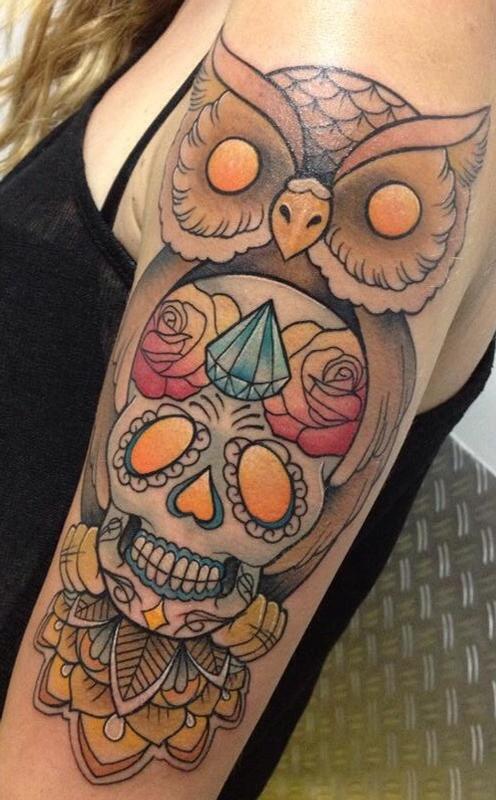 Owl's skull