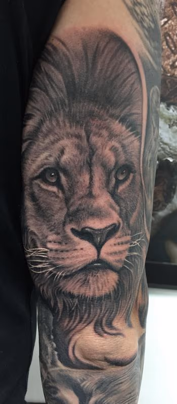 Lion Portrait Tattoo