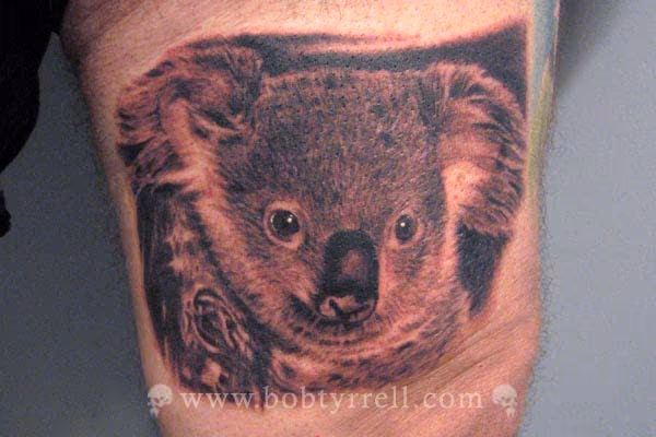 Koala Bear