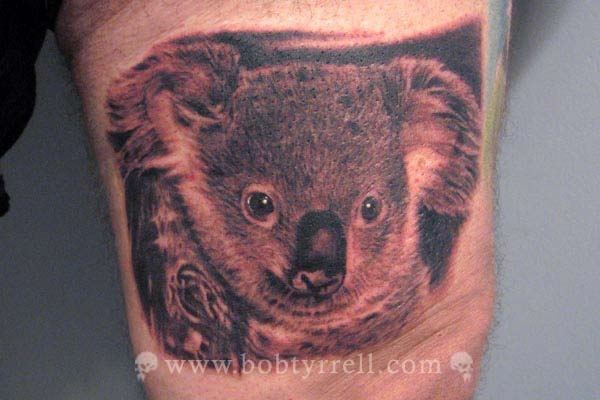 Koala Bear