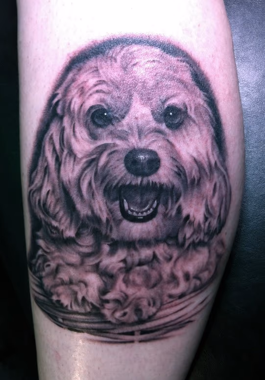 Dog in basket