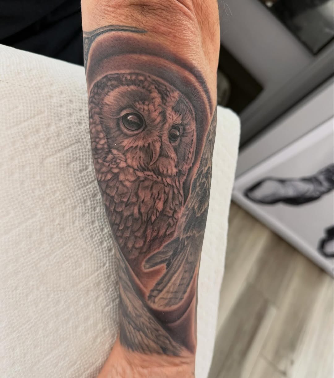 Barred owl portrait tattoo, forearm