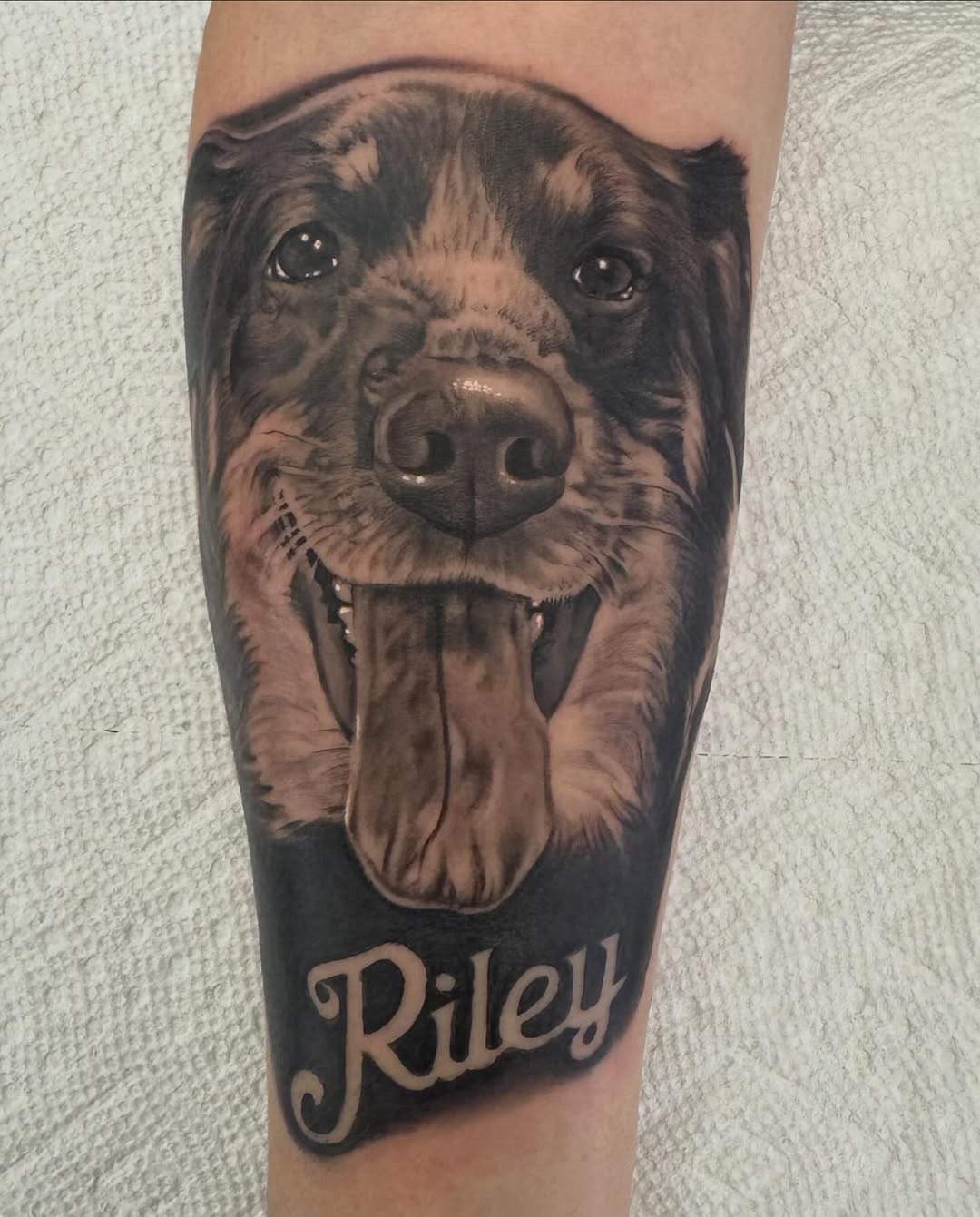 Black-and-grey dog portrait with name, forearm