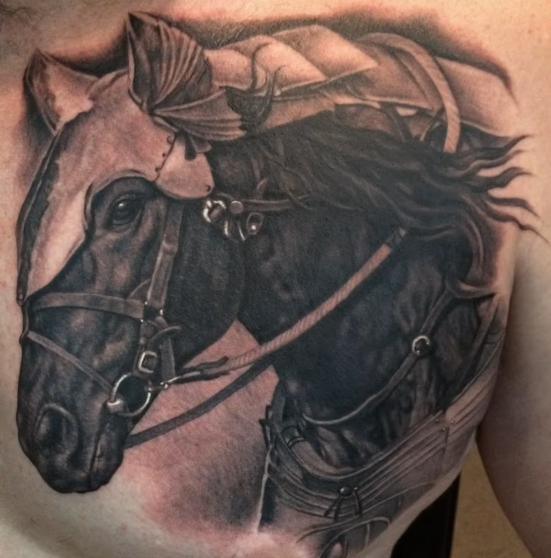 Shane's Horse
