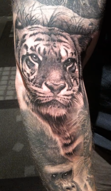 Tiger