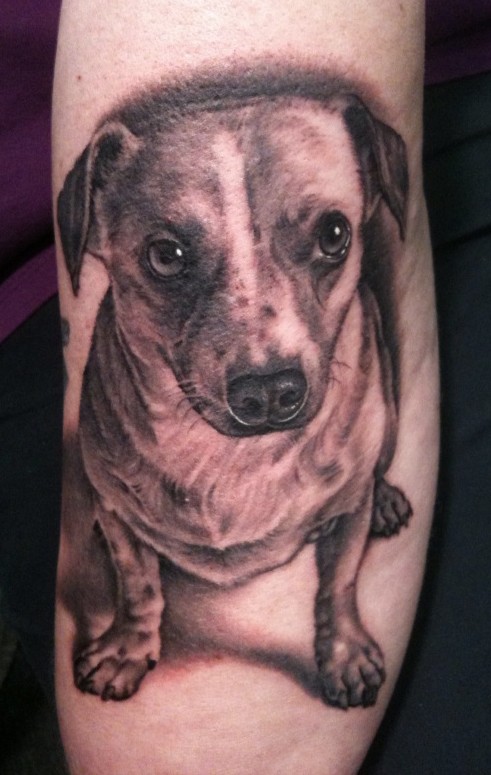 Dog