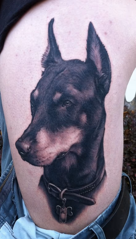 Doberman Pincher