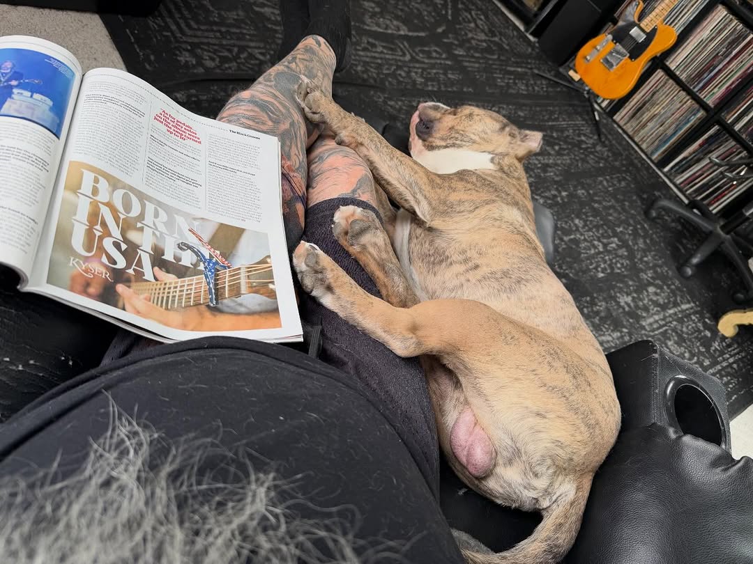 Lazin’ on a Sunday afternoon. @the.mighty.kong @guitarworldmagazine