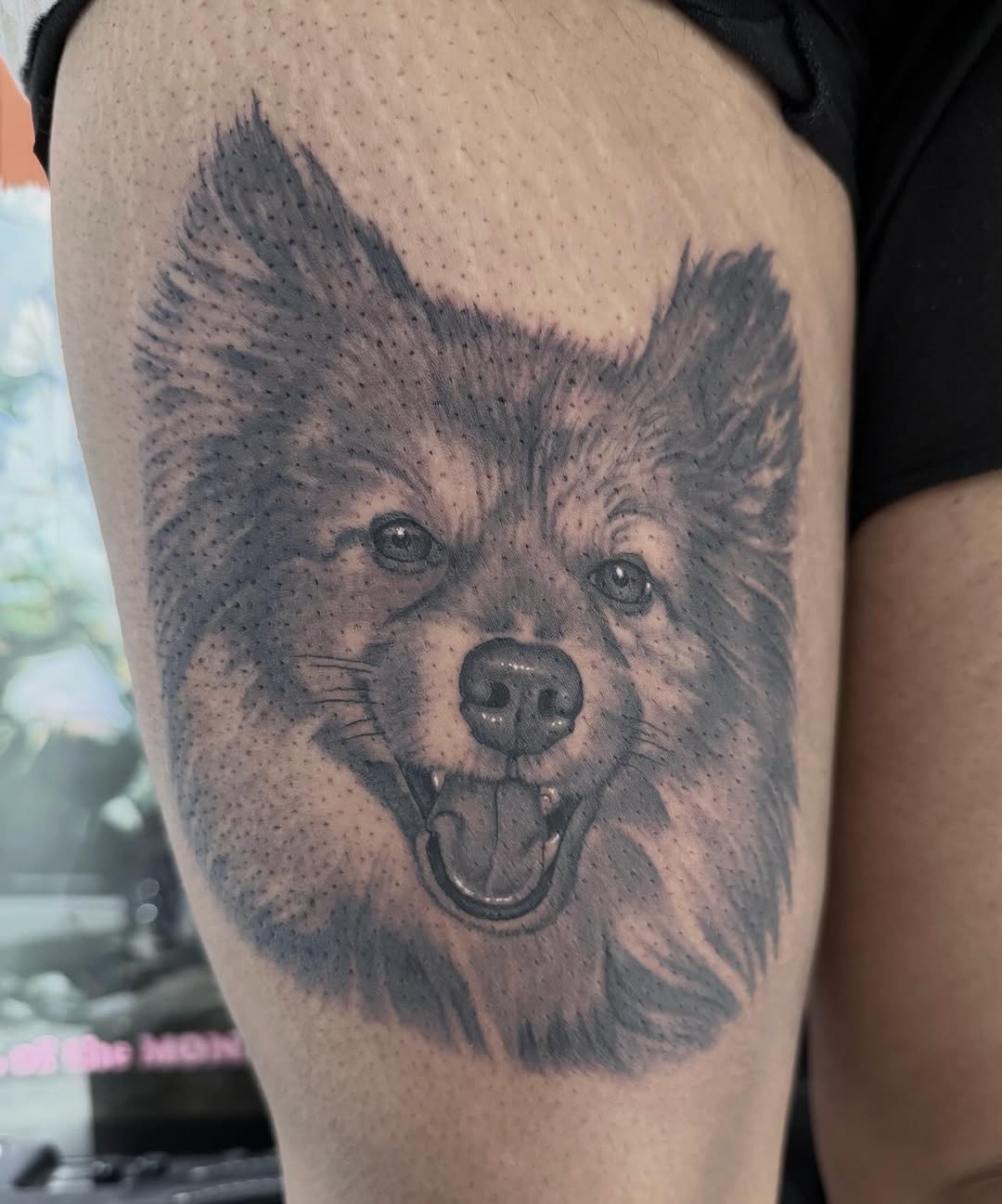 Sheltie portrait memorial tattoo, thigh