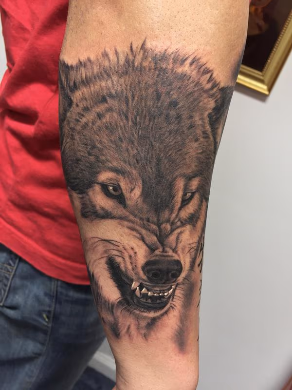 Snarling Wolf Tattoo