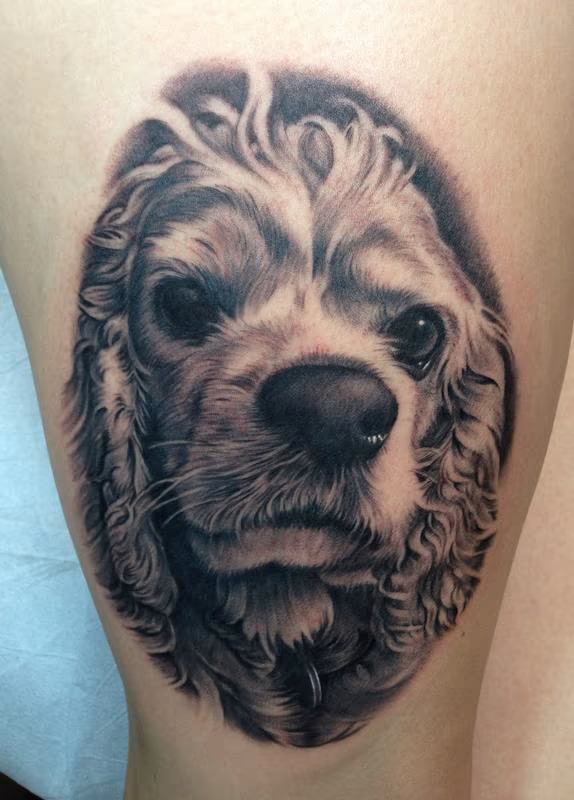 Dog tattoo - Cocker Spaniel