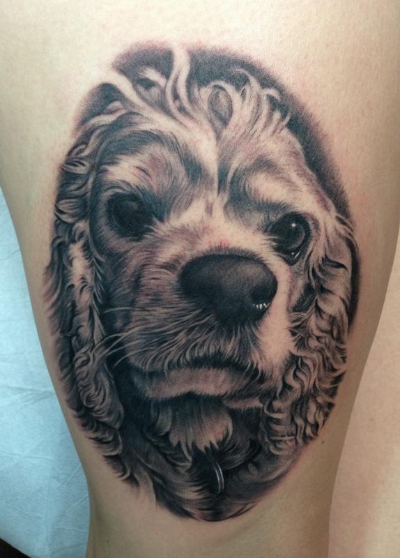 Dog tattoo - Cocker Spaniel