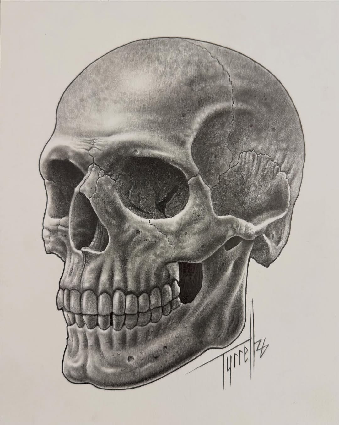 Anatomical skull pencil drawing