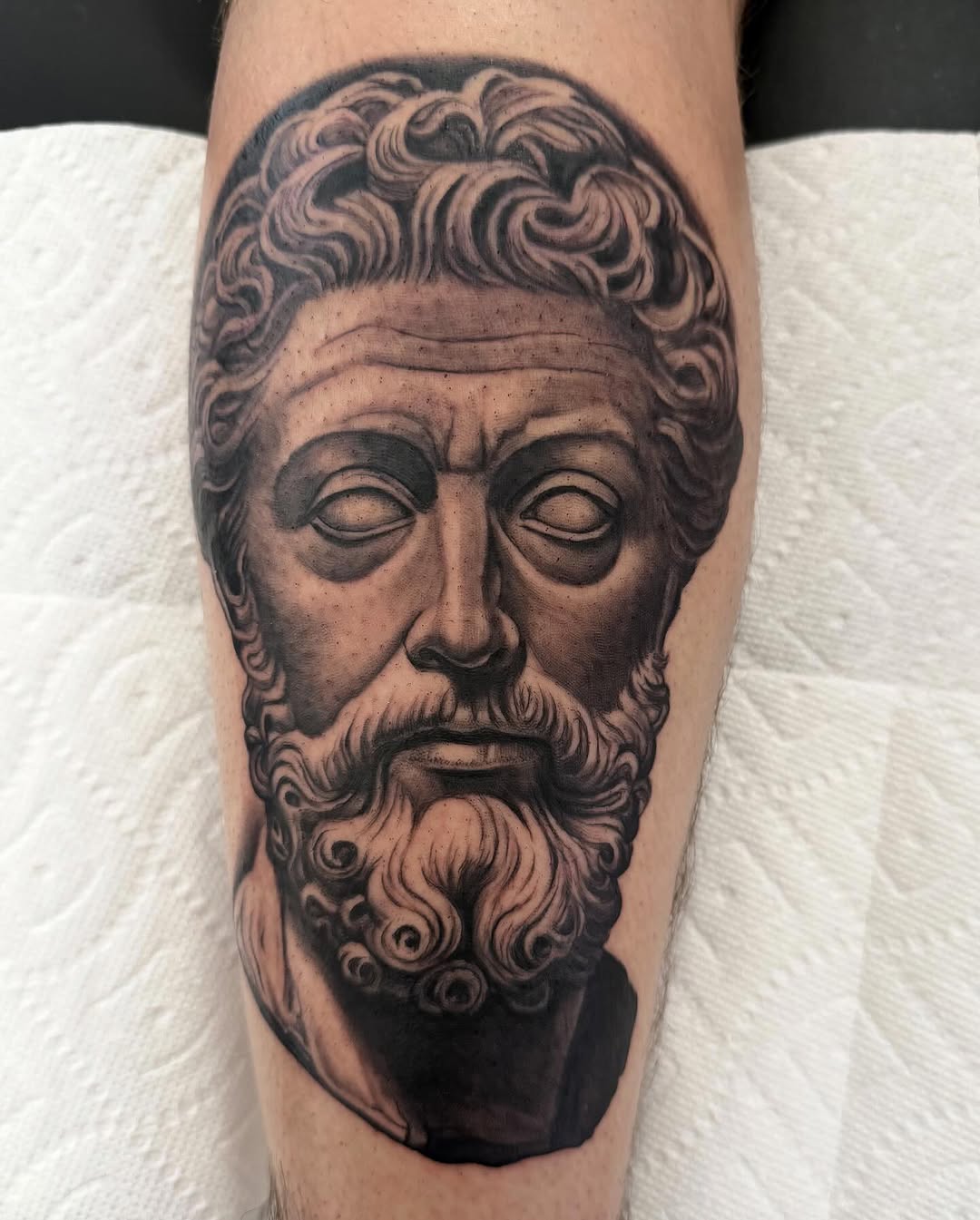 Classical bearded male portrait, calf