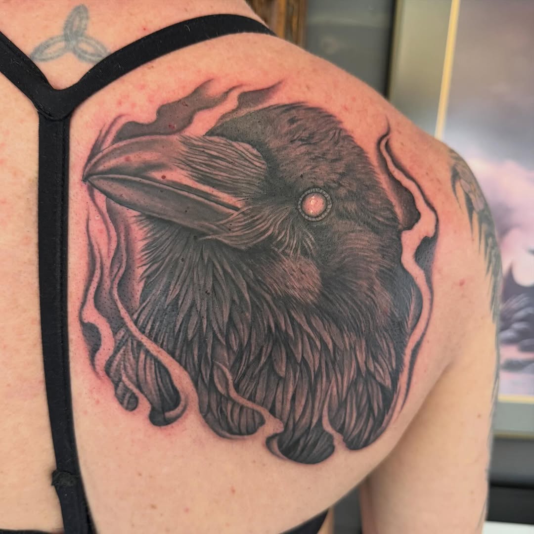 Black-and-grey raven portrait, shoulder