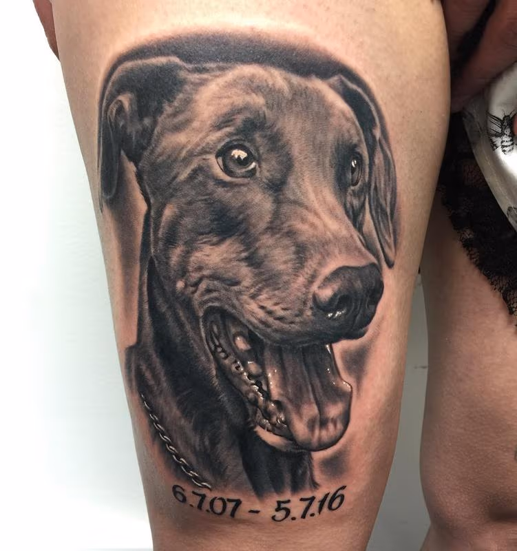 Dog Portrait