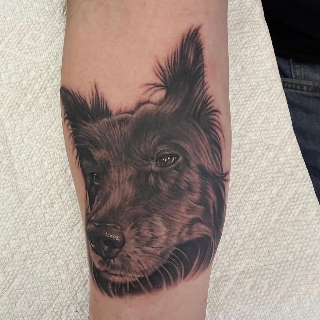 Black-and-grey dog portrait tattoo, forearm