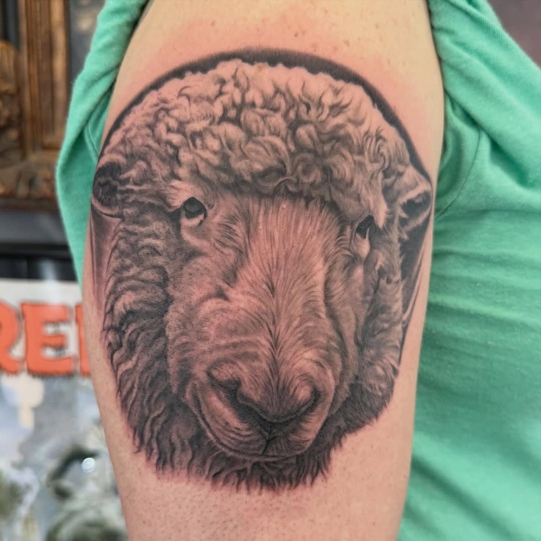 Black-and-grey lamb portrait tattoo, bicep