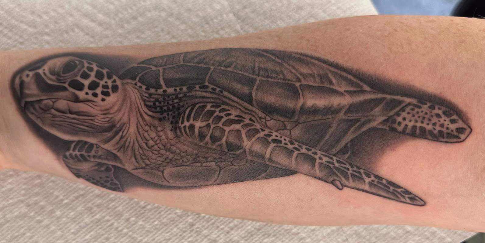 Realistic Turtle Tattoo