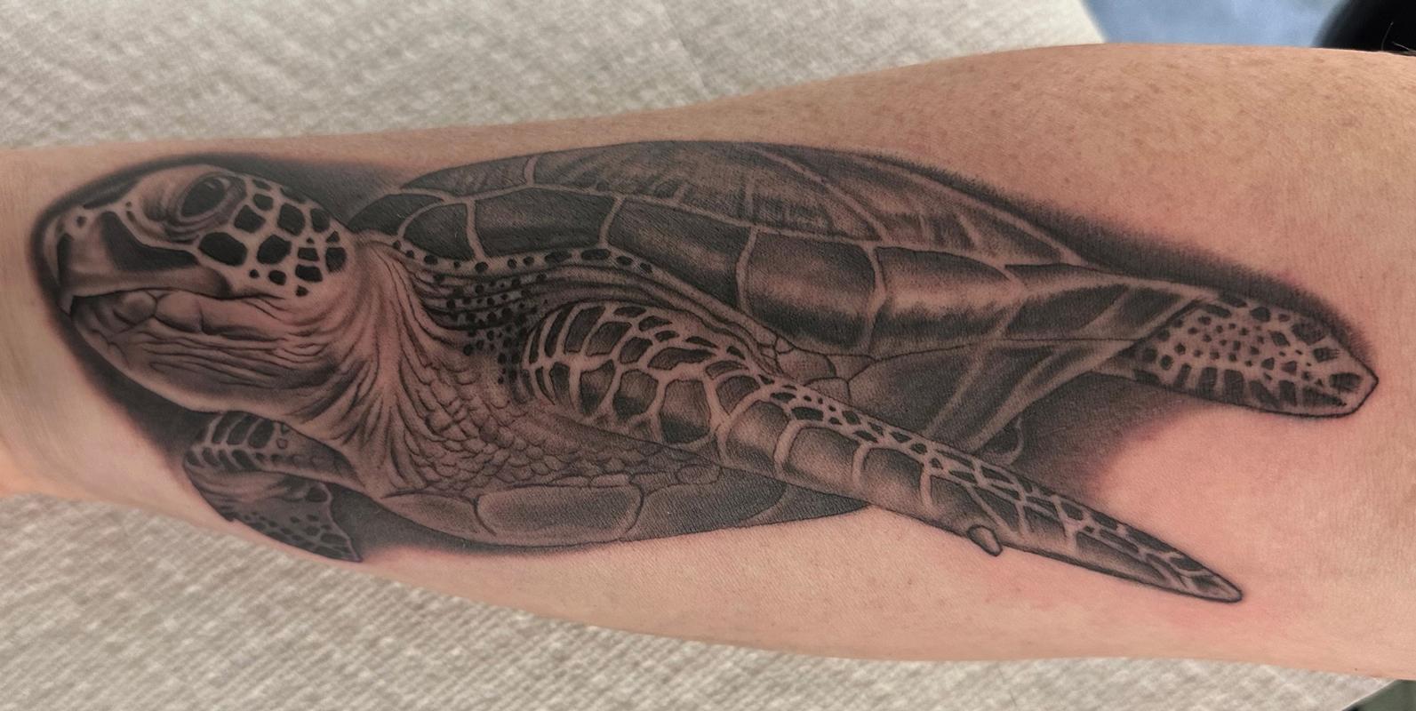 Realistic Turtle Tattoo
