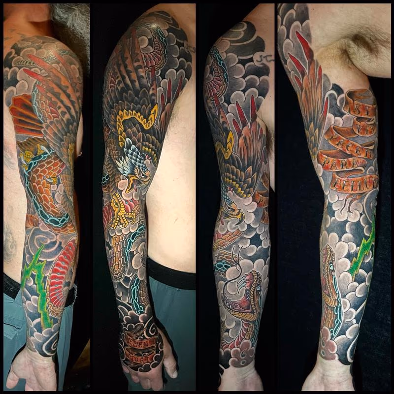 Eagle vs snake sleeve