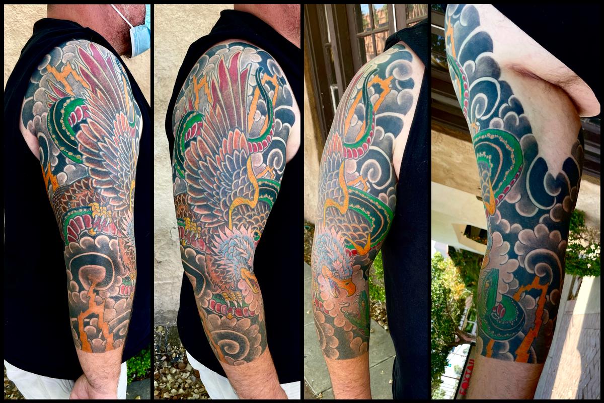 Eagle vs snake sleeve