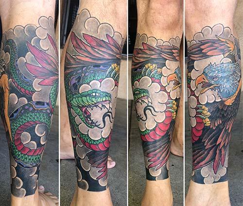 eagle vs snake