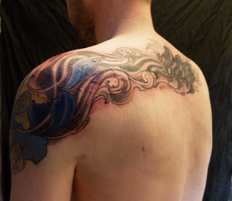 lotus, cover
