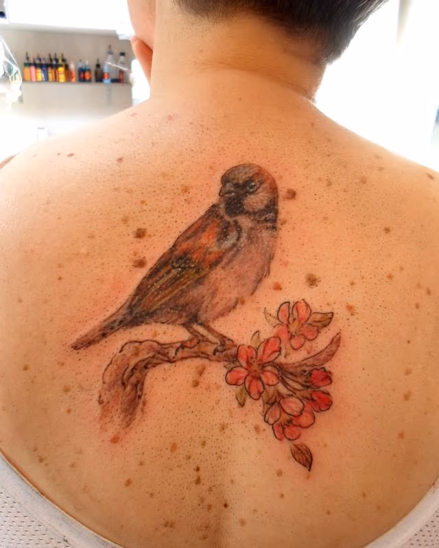 bird