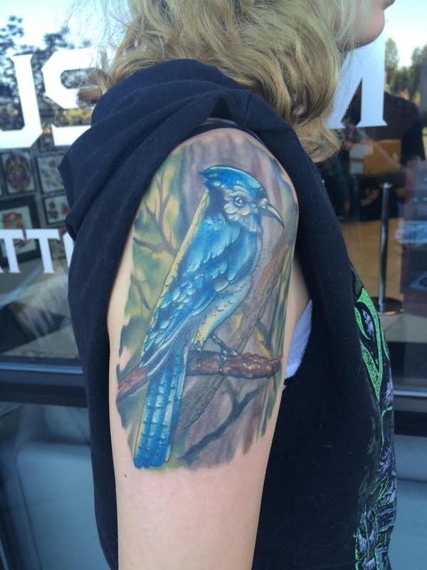 Blue Jay (Healed)