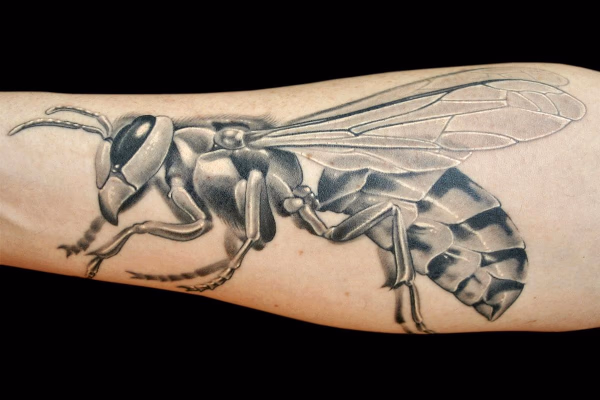 Wasp