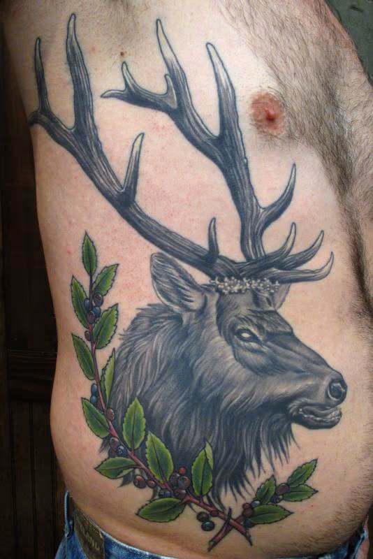 Elk and wild huckleberries