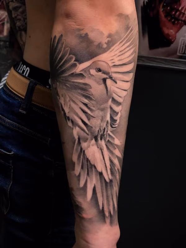 Dove tattoo